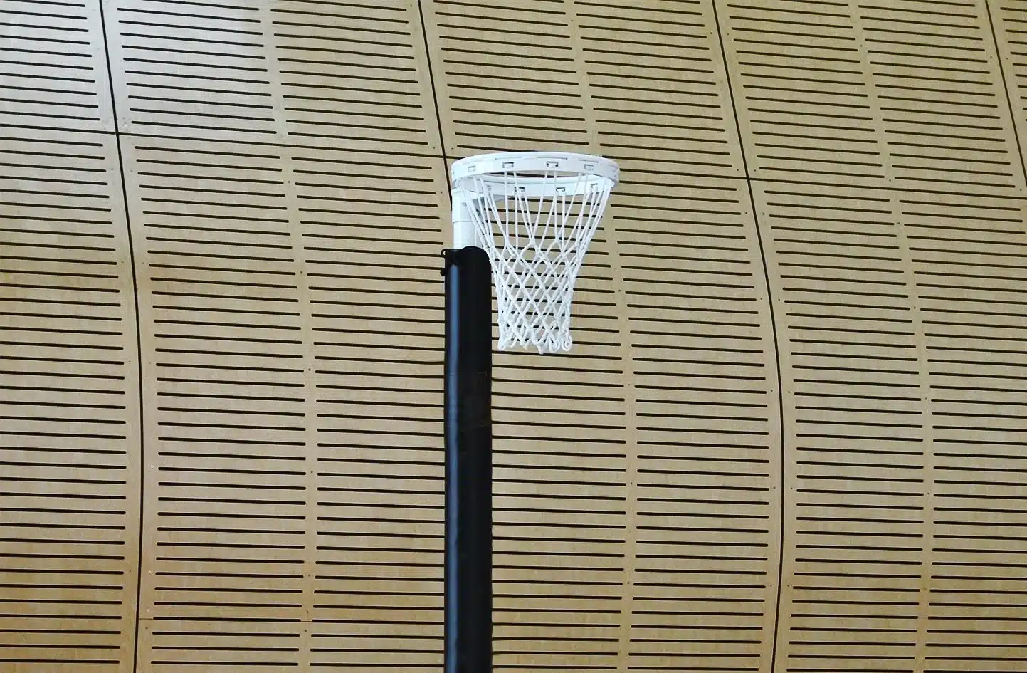 Indoor freestanding netball post